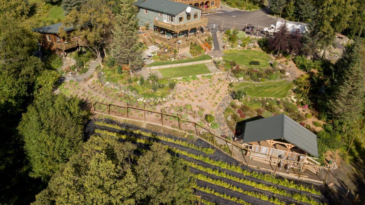 Bed and Breakfast Bear Creek Winery And Lodging Хомер Экстерьер фото