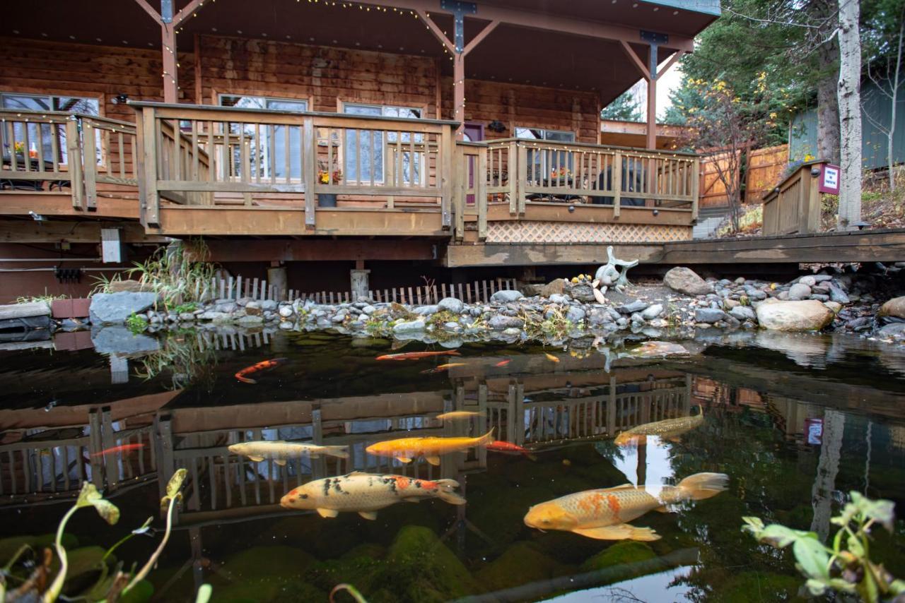 Bed and Breakfast Bear Creek Winery And Lodging Хомер Экстерьер фото